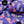 Snowrider Insulated Snow Jacket - Butterfly