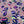 All-Weather Fleece Onesie - Rainbow Leopard